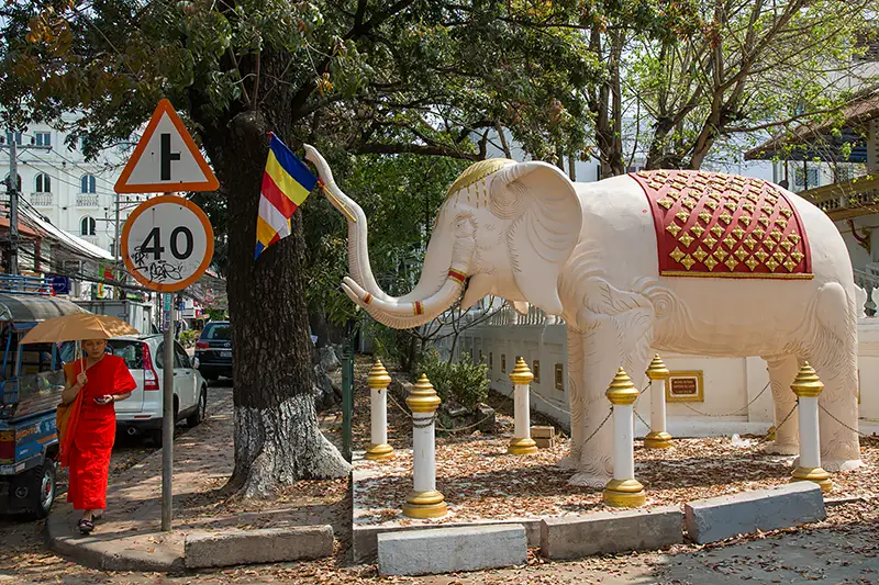 Elephant statue Wat Chan Vientiane