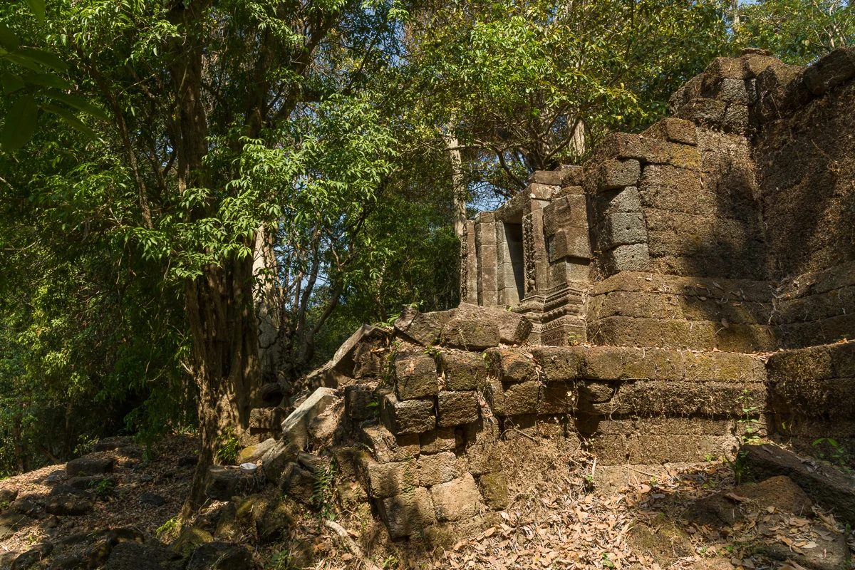 Photograph ancient Khmer ruins swallowed by jungle at Wat Tomo